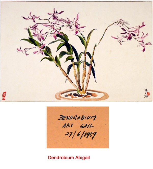 image081.jpg image081.jpg